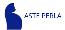 logo ASTE PERLA